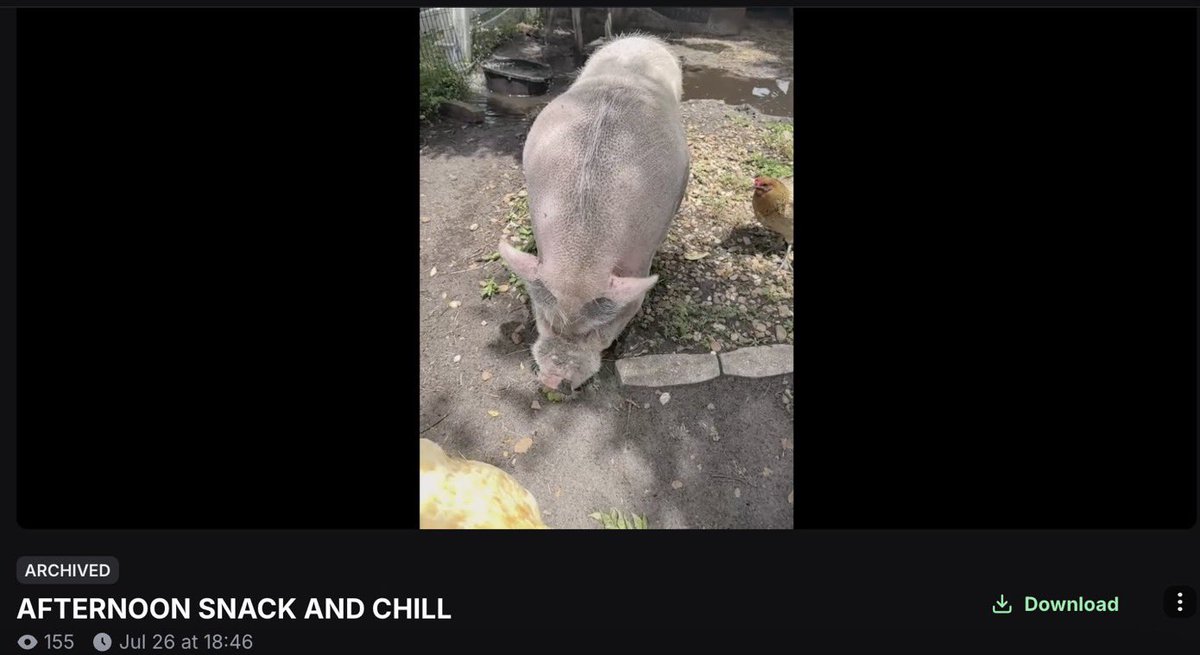 Cryptoo_Beast1's tweet photo. LOOK, I AM ON NATIONAL NEWS ALREADY! THE SPCA WON THE BATTLE, BUT THE WAR IS STILL ONGOING!!! WE WILL NEVER GIVE UP!!! 

SUPPORT MY CARE AND MISSION AGAINST CORRUPTION AND EVIL HERE!!! I HAVE SO MUCH TO TELL YOU!!!

https://t.co/9PkOCaPIiP…

$WADDLESLIV
#WADDLES #WADDLESTHEPIG
#JUSTICE4WADDLES