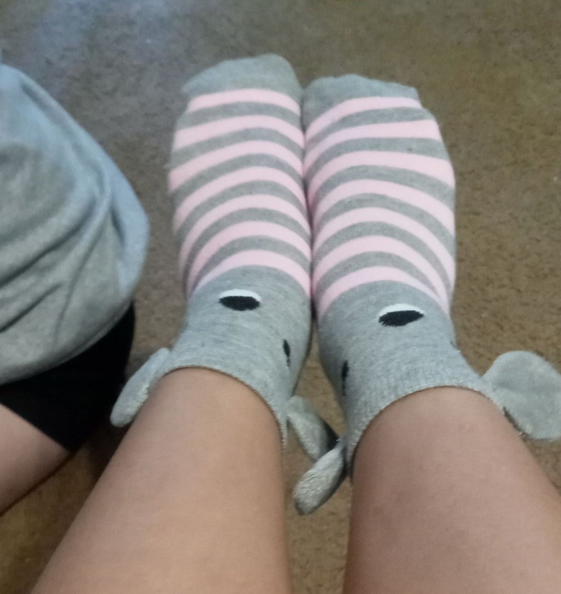 cutiestbuni's tweet photo. Cute koala 🐨 🌺
#sugarbaby #sugardaddy #paypig #feetfetish https://t.co/ozUx1z0qCR