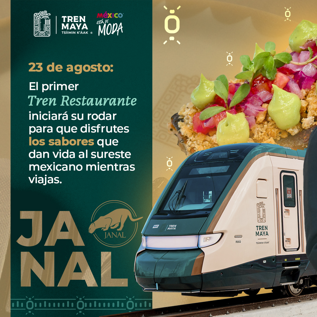 TrenMayaMX's tweet photo. 🚆🍽️ El 23 de agosto llega una nueva forma de vivir el viaje.

Prepárate para disfrutar una experiencia única en su especie en México, donde los paisajes del sureste se encuentran con su gastronomía, sabores y atención a bordo. 🌿✨

El Tren Restaurante está por iniciar servicio.
¿Estás listo para vivirlo? 💚

#TrenMaya #TrenRestaurante #ConoceElSureste #ViajaEnTrenMaya #TodasYTodosSomosTrenMaya
