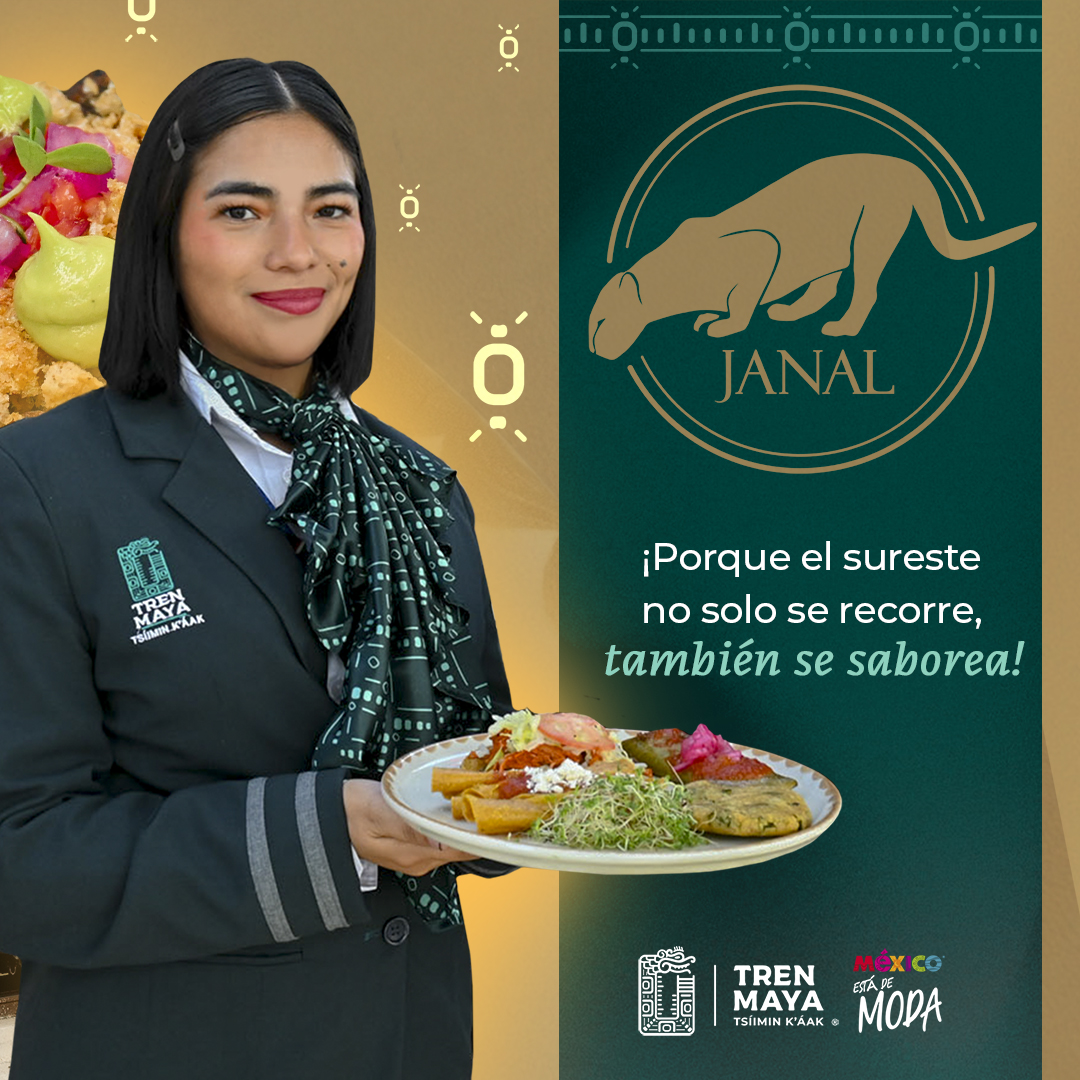TrenMayaMX's tweet photo. 🚆🍽️ El 23 de agosto llega una nueva forma de vivir el viaje.

Prepárate para disfrutar una experiencia única en su especie en México, donde los paisajes del sureste se encuentran con su gastronomía, sabores y atención a bordo. 🌿✨

El Tren Restaurante está por iniciar servicio.
¿Estás listo para vivirlo? 💚

#TrenMaya #TrenRestaurante #ConoceElSureste #ViajaEnTrenMaya #TodasYTodosSomosTrenMaya