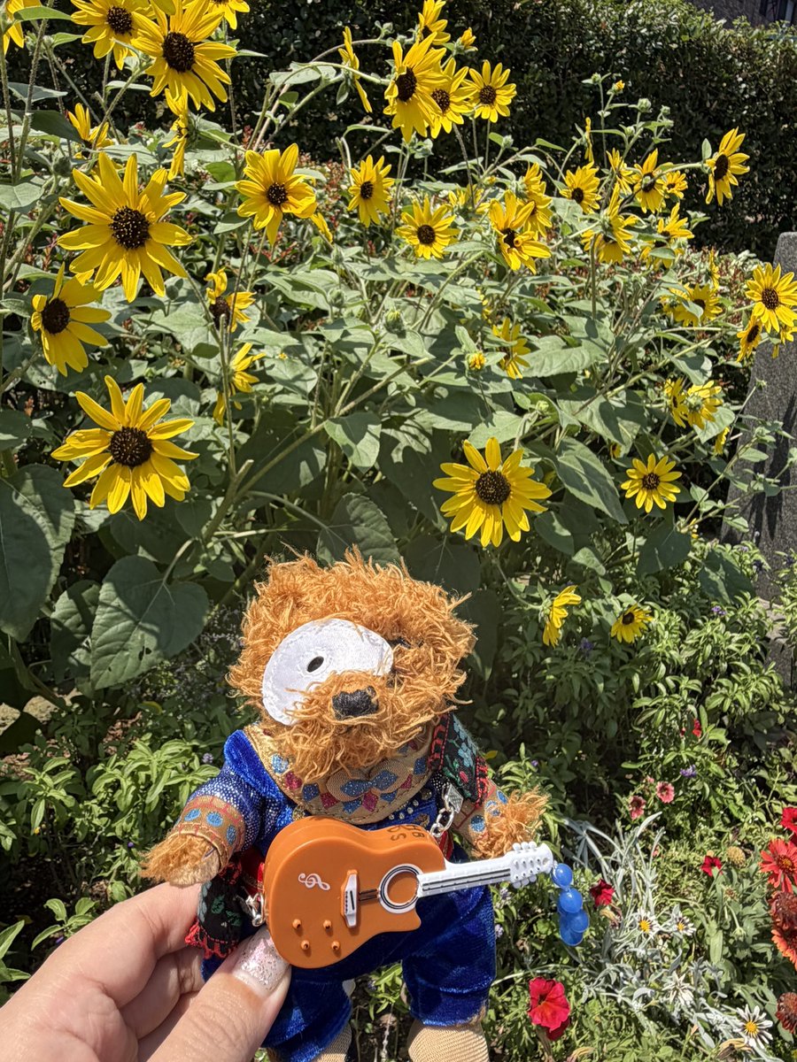 pigmonchirota's tweet photo. マンマ横浜my楽は自分の誕生日と決めていたので、一足早く🩵
残りの公演もハッピーに、ファンキーに完走できますように✨

ご縁あって開幕初日からエーゲ海に通い続け、岩城さんハリーのデビューお祝いに、家族でスパトゥルショット、誕生日推し様観劇まで叶った🥹
＼＼\\ありがとう！横浜〜〜！//／／ https://t.co/XqRbkrM93l