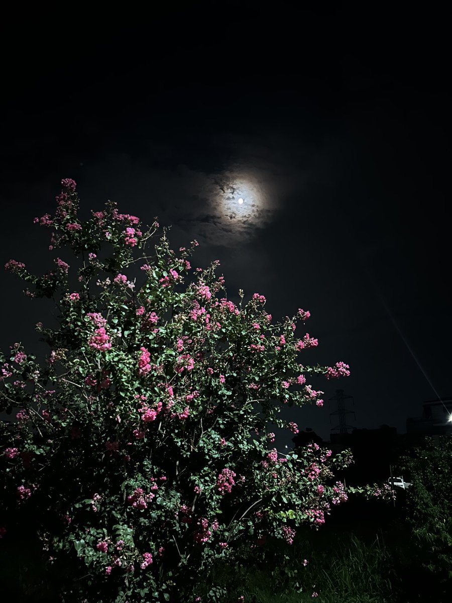 0_arshu2's tweet photo. THE MOON SAYS NOTHING YET UNDERSTAND EVERYTHING♥️ https://t.co/f1tdnYiDr7