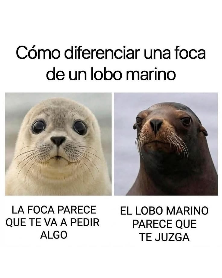EnsedeCiencia's tweet photo. 😆 https://t.co/BI0sMr4ilX