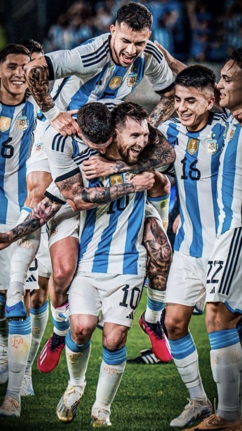 Enzo fan Fernandez tweet media
