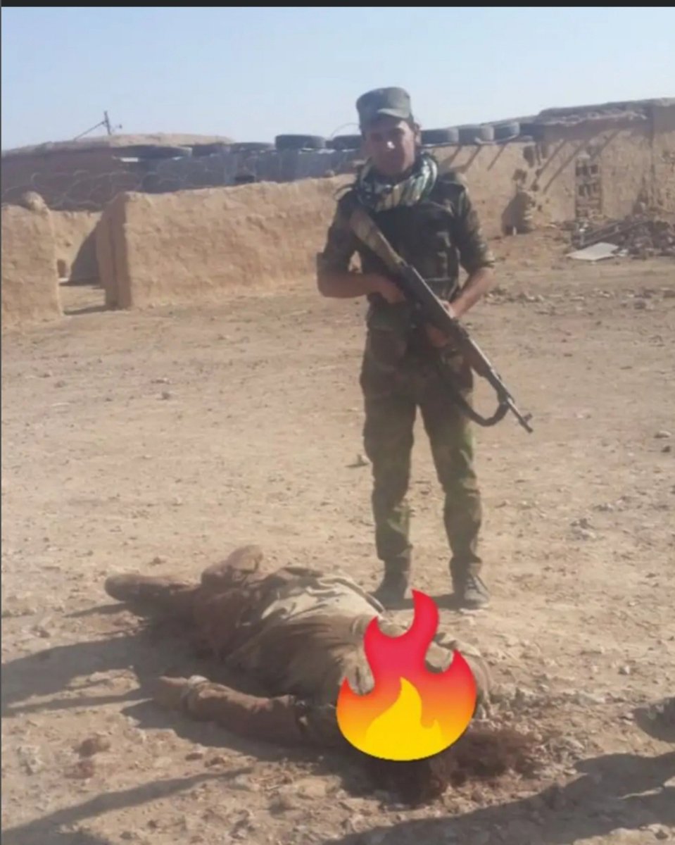 Haider_1H1's tweet photo. @freaky_farty @Starxlight @cthecache @NiohBerg Look at your Saudi friends, they are in paradise as you claim, while u are in Europe. Come to Iraq and join them. https://t.co/CZ5xTWG2Li