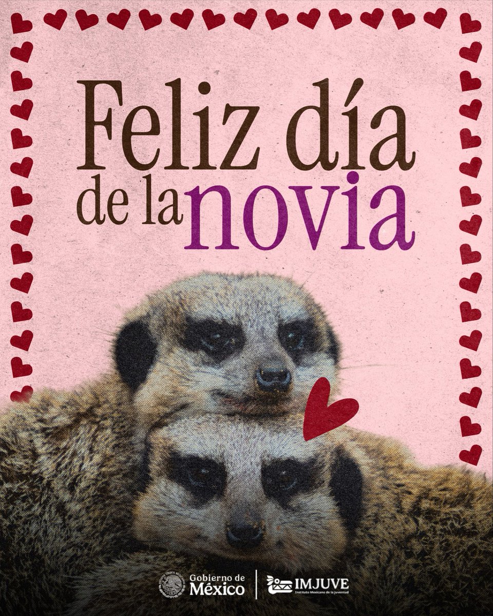 imjuvemx's tweet photo. 💘 ¿Quién merece que le envíes este post hoy?
Etiquétala y hazle saber lo especial que es. 🫶✨
#novia #dia #diadelanovia #jovenes #feed https://t.co/9S66KeJmy6