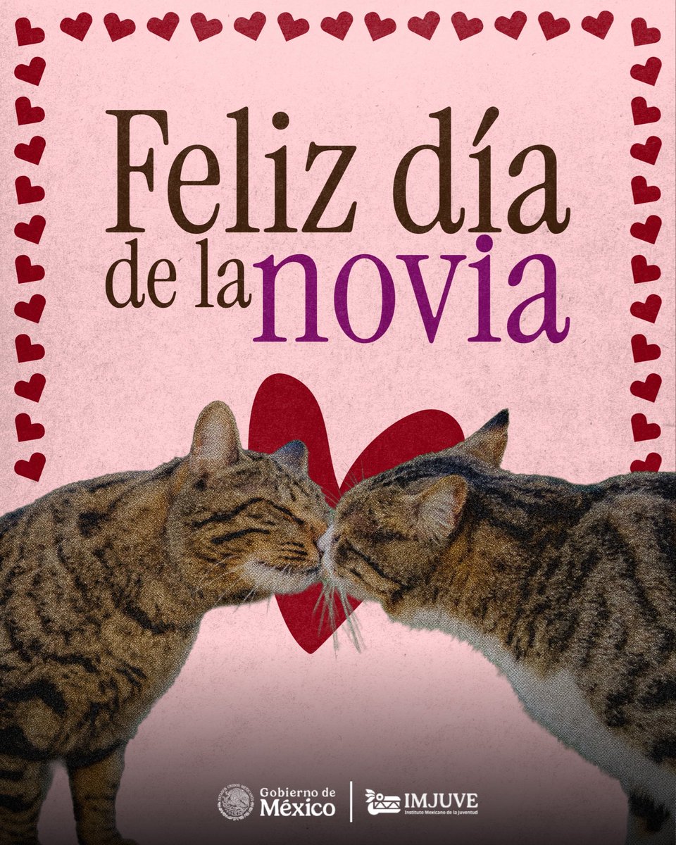 imjuvemx's tweet photo. 💘 ¿Quién merece que le envíes este post hoy?
Etiquétala y hazle saber lo especial que es. 🫶✨
#novia #dia #diadelanovia #jovenes #feed https://t.co/9S66KeJmy6