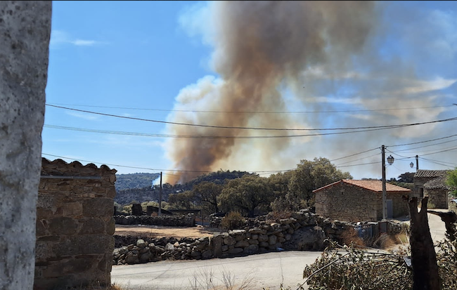 eldiadezamora's tweet photo. INCENDIOS FORESTALES I Una reproducción del incendio de Fermoselle obliga a movilizar nuevos medios en Mámoles #IFFermoselle #incendiosforestales @AT_Brif @zulu3villaralbo https://t.co/54lSlY0igC https://t.co/lbkhCkVEQm