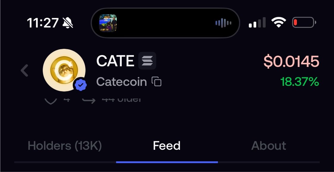 Avlmri's tweet photo. 13k Holder On Fomo Alone And This Is Just The Beginning 😂🐈

@thecatecoinSOL $Cate https://t.co/L3YsBlMWsg
