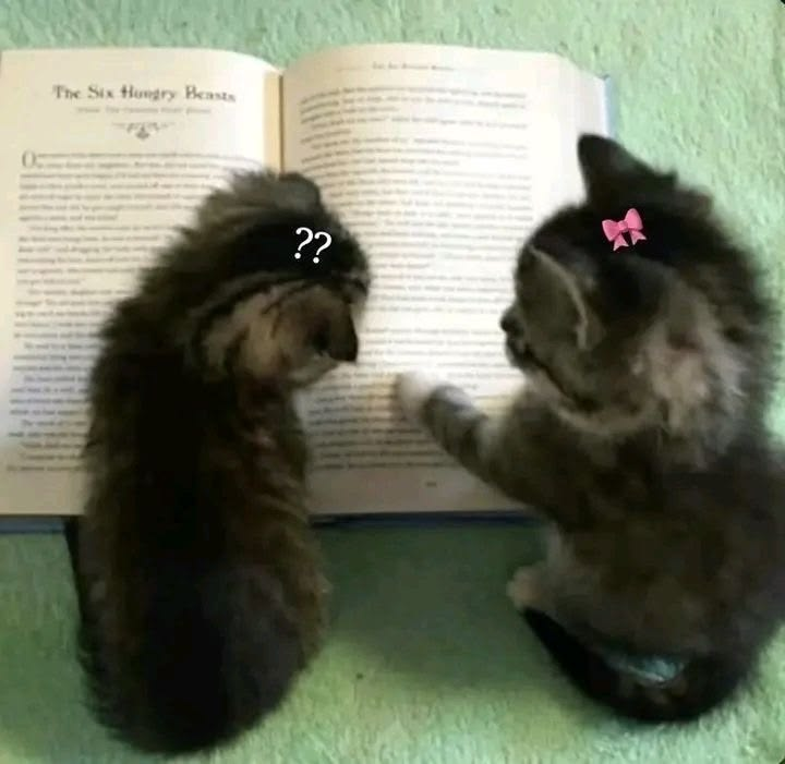 dualipoets's tweet photo. ⠀⠀⠀⠀≦ ✦ゞ 𝟣 𝖳𝖾𝗌𝗌𝖺𝗅𝗈𝗇𝗂𝖼𝖾𝗇𝗌𝖾𝗌 𝟧:𝟣𝟣

"Pelo que, consolai-vos mutuamente e edificai-vos uns aos outros, como já fazeis." https://t.co/LH1TPh0Mj6
