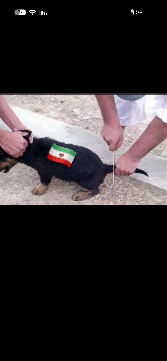 i_majhad's tweet photo. @MohammedAlfrah https://t.co/bPfin8sRQf