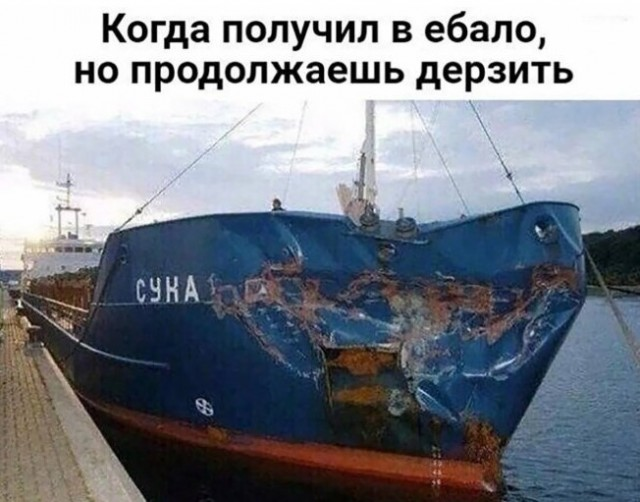 yaplakalcom's tweet photo. https://t.co/sDo7EIC9Qw