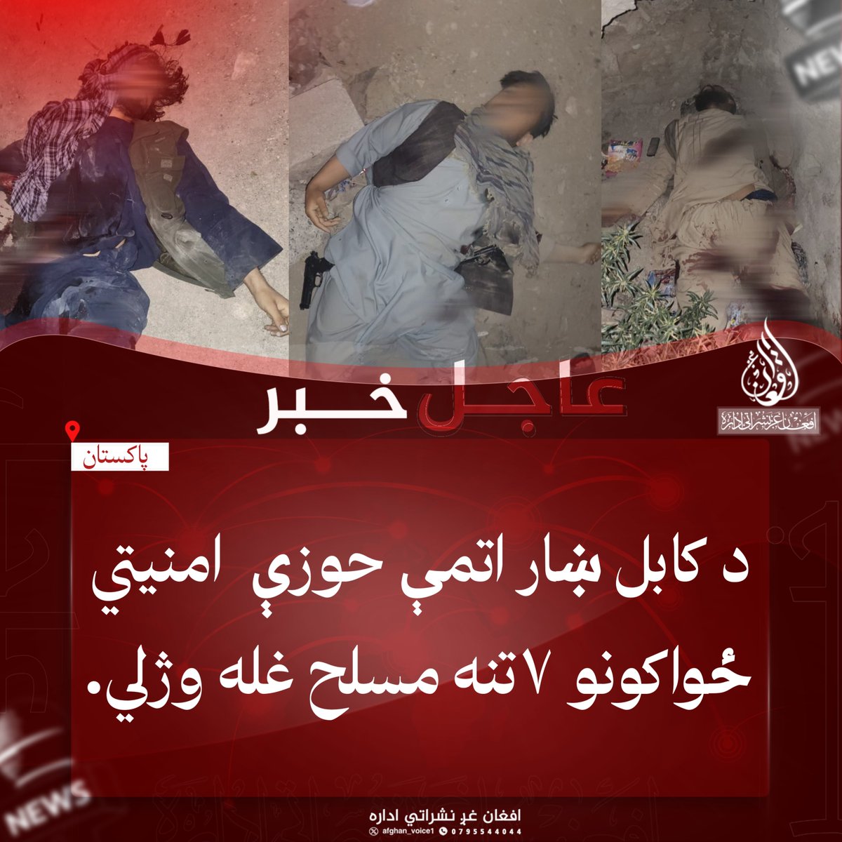 afghan_voice1's tweet photo. د کابل ښار اتمې حوزې  امنیتي ځواکونو ۷تنه مسلح غله وژلي.

نن شپه شاوخوا ۹بجې د کابل ښار اتمې امنیتي حوزې اړوند د ستانکزي بلاکونو سره ۷تنه مسلح غله د یادې حوزې له امنیتي ځواکونو سره په متقابلو ډزو کې ووژل شول. https://t.co/QtHAHxajEu