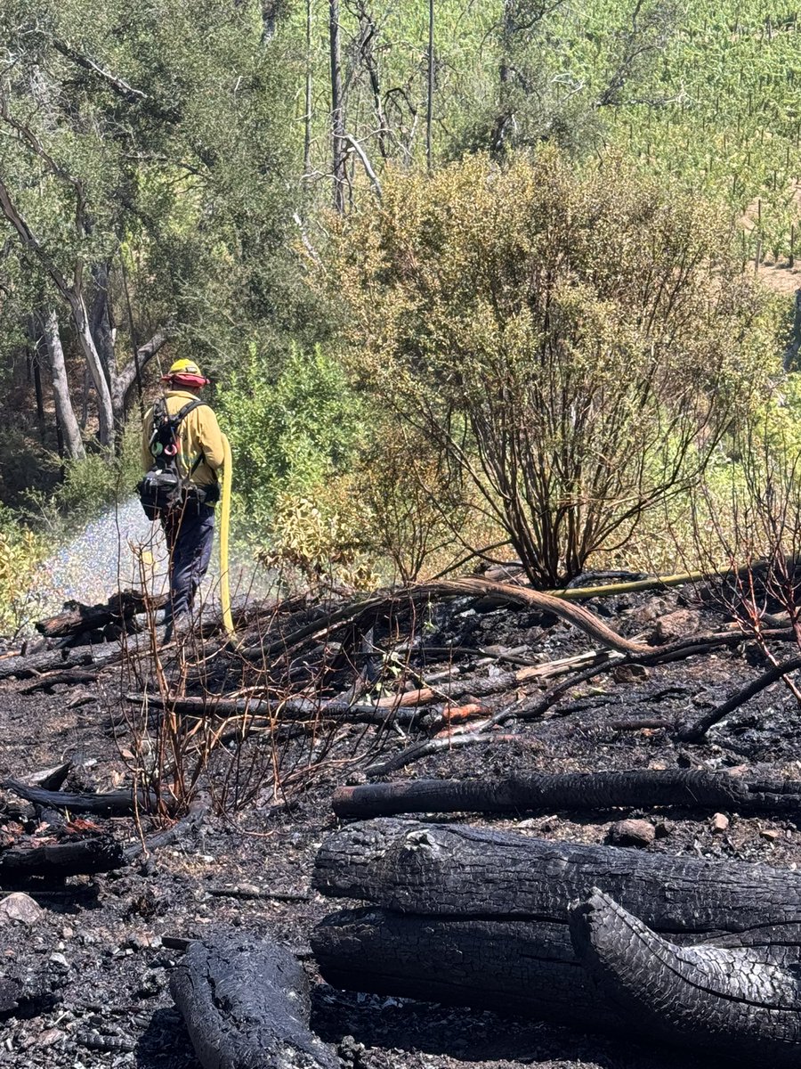 CALFIRELNU's tweet photo. As crews continue mop-up operations on the #WoodsideFire, our unit remains staffed and committed to serving our communities.
An example of that commitment came Friday, when our crews were dispatched to a vegetation fire in the 6500 block of St. Helena Road in Santa Rosa, Sonoma County. Thanks to a quick response from our crews and assistance from Santa Rosa Fire, the fire was held to less than one acre.
With temperatures expected to rise this weekend, we remind our community to practice fire-safe outdoor activities. A small spark can quickly become a wildfire.
Stay vigilant, know your surroundings, and help us protect our communities. 🚒🔥