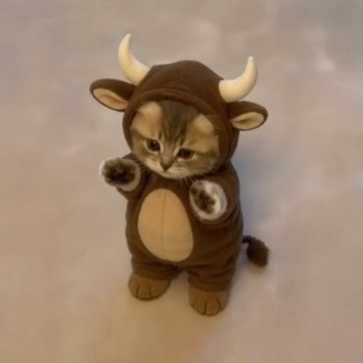 CallMeCeres's tweet photo. $wiwiwi dips keep getting eaten

Bullish! https://t.co/E7f8OZFzCE