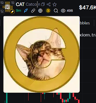 ateleutsa's tweet photo. @catecoin $CATCOIN?HGgmcwC9TWGR5r3KJxo1M2JyyMsARKB8J1u5xnfDpump https://t.co/0IoavgRuBl
