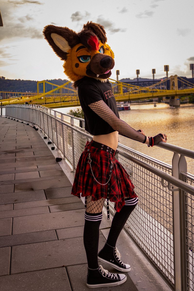 RenlyShep's tweet photo. come find me at megaplex soon uwu
📷@rylo_fuwa https://t.co/om8qmY9lOr