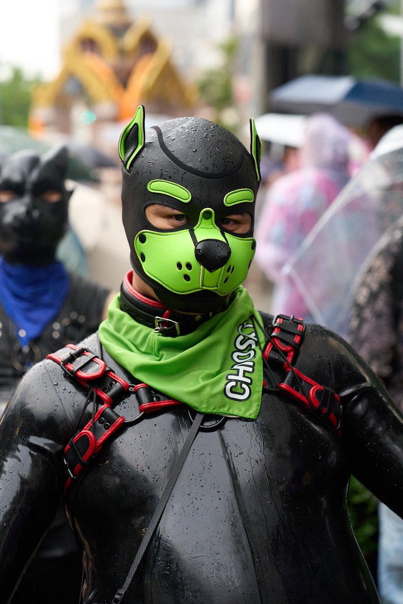 Chaosky_st's tweet photo. A rubber alien (disguised as a doggy) in the rain 🐶🌧️
#SqueakySaturday https://t.co/CgpdAIqu2Y