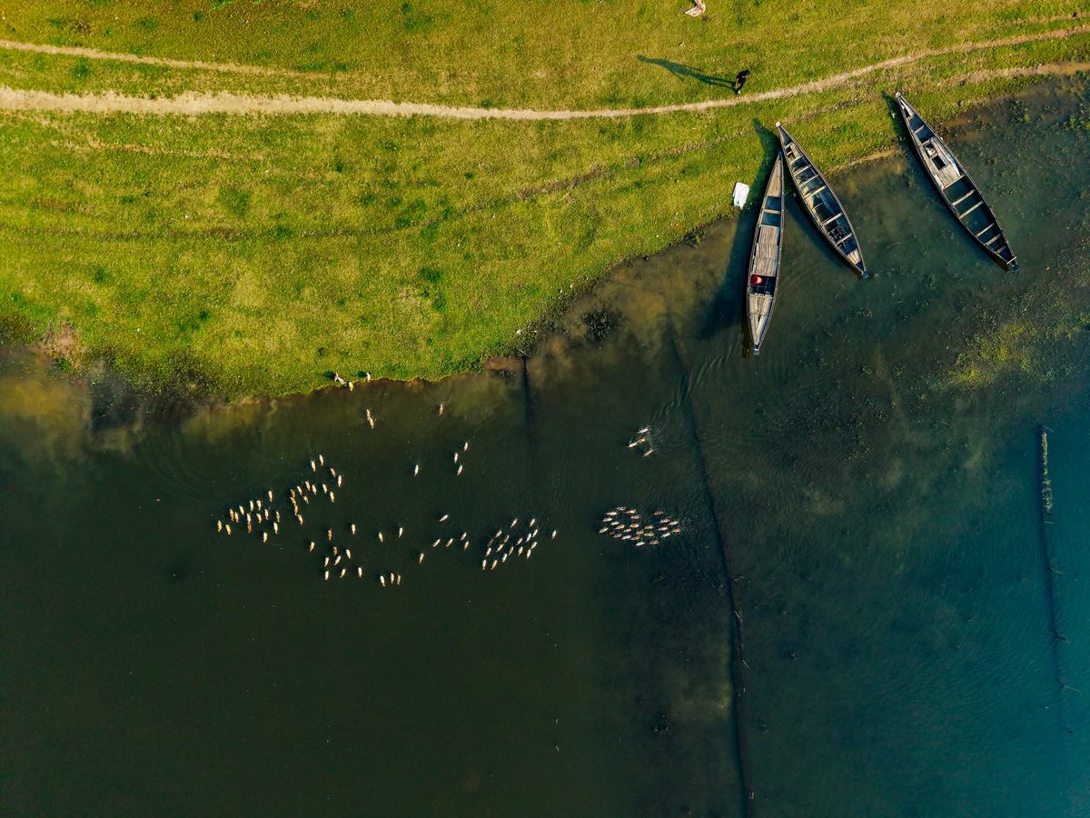 TalukdarSukanta's tweet photo. Tanguar Haor,Sunamganj. https://t.co/en5o6PTbwU