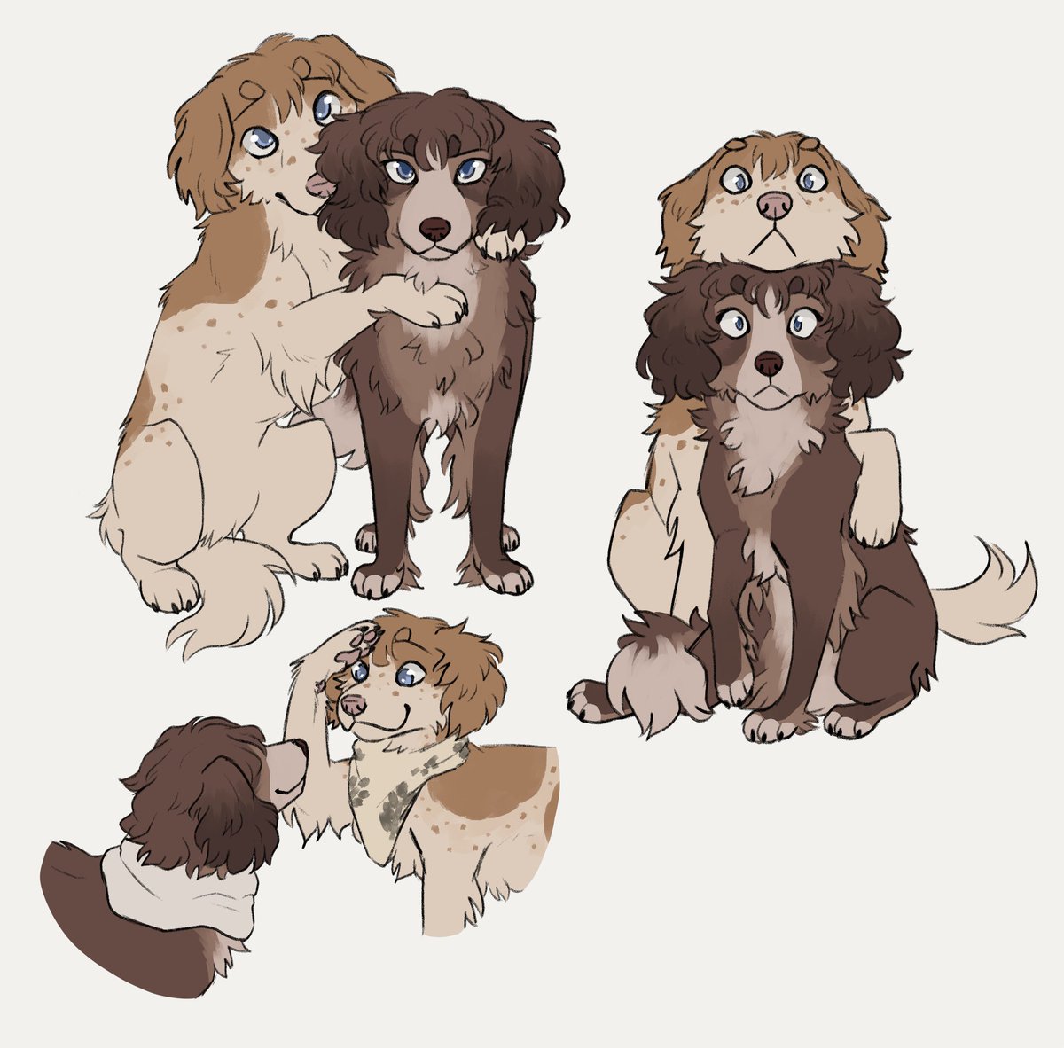 canineyuri tweet picture