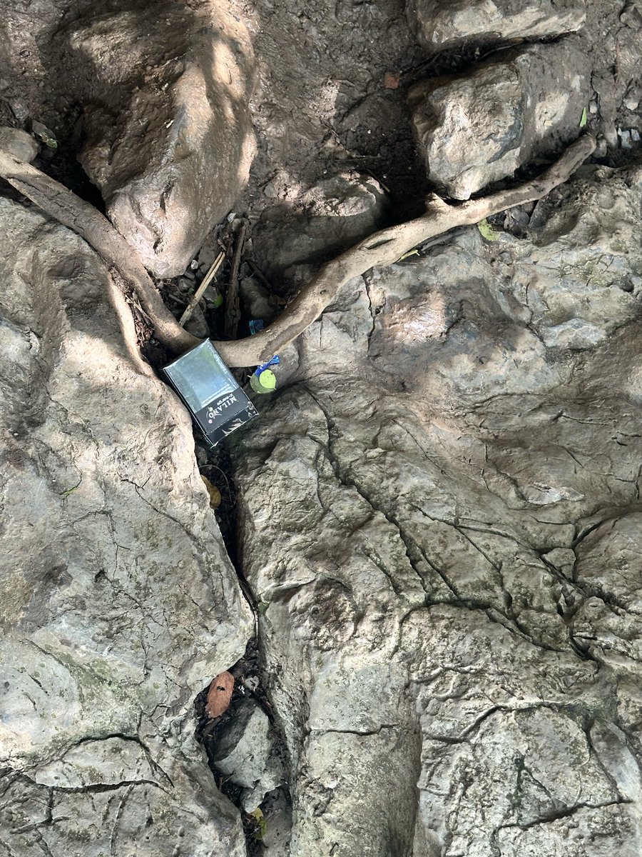 msmuzamil's tweet photo. This is the result of irresponsible tourism. If you can carry a full bottle to a picnic spot, you can carry the empty one back. Let’s keep our natural places clean for future generations. ♻️🌱 #CleanPakistan #ResponsibleTourism #CDA https://t.co/DUvbPxdsrX