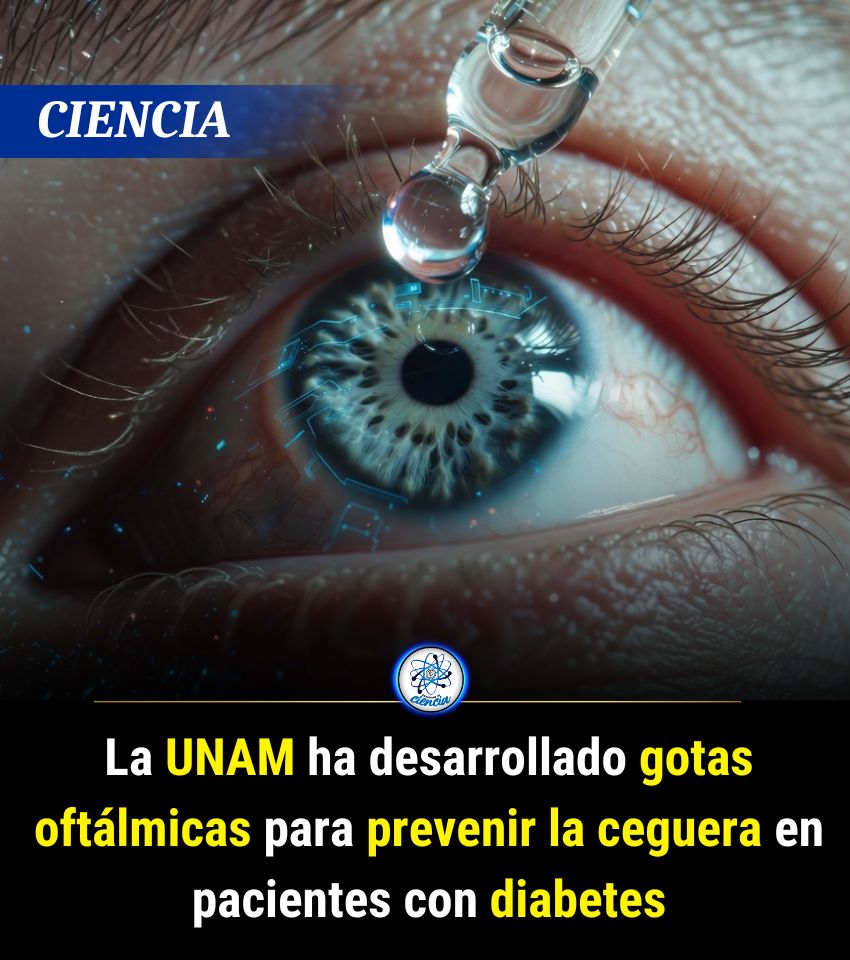 EnsedeCiencia's tweet photo. https://t.co/hR9BPOA1kV