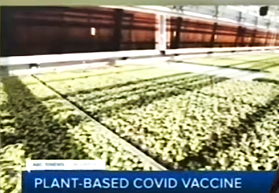 TT4USA's tweet photo. Medicago Group (Biolab in Sweden) adds vaccines to global produce. 
https://t.co/zf6Eq3BkiU https://t.co/H9IkglbYjL