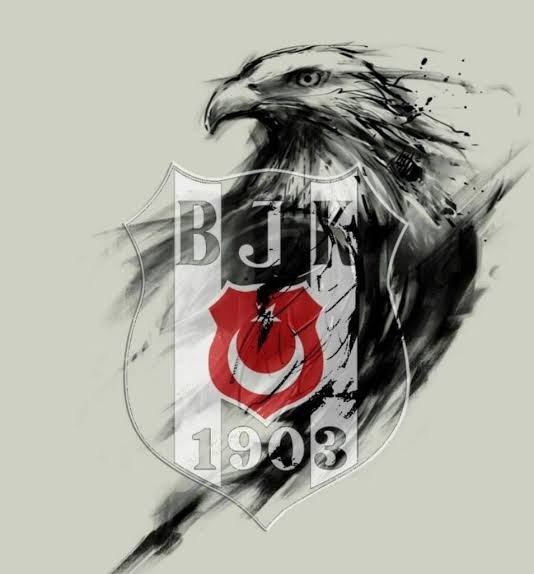 islamiqueKurt's tweet photo. Bugün asansörde karşılaştığım ufaklık bana bakıp, abi sen beşiktaşlı mısın dedi. Nerden bildin diye sordum. Ben anlarım dedi. https://t.co/RyMLSWk56I