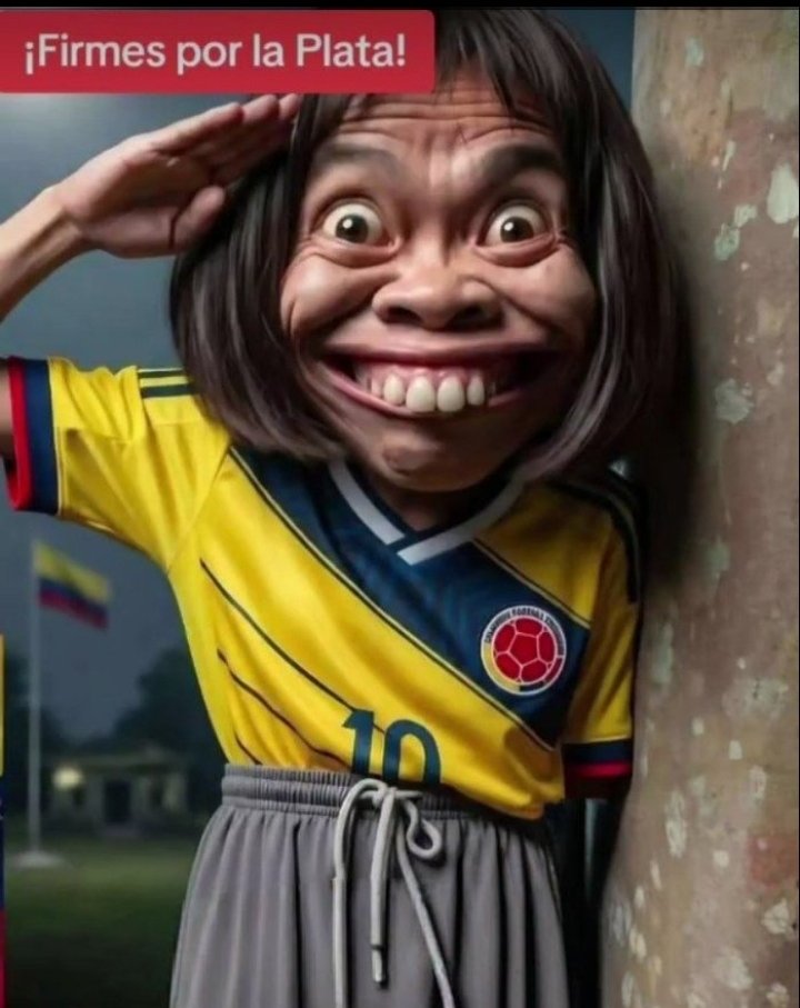 Orlando71156528's tweet photo. 🛑 🇨🇴El perfil del votante de la "patria milagro". Firmes por la idiotez. 🫡🙃🤭 https://t.co/EPMXfGtjh8