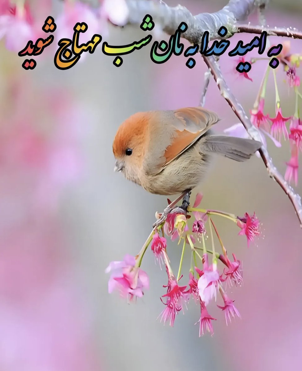 brudafz's tweet photo. https://t.co/VZM9JajaEE