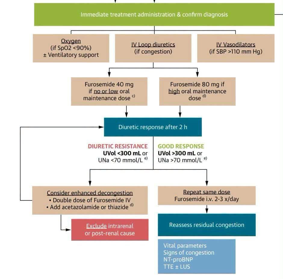 gashawsol's tweet photo. 🔵 Early Management of Acute HF (ESC, 2026)
https://t.co/wMVYQvGaAO https://t.co/gkSuGXN5w1