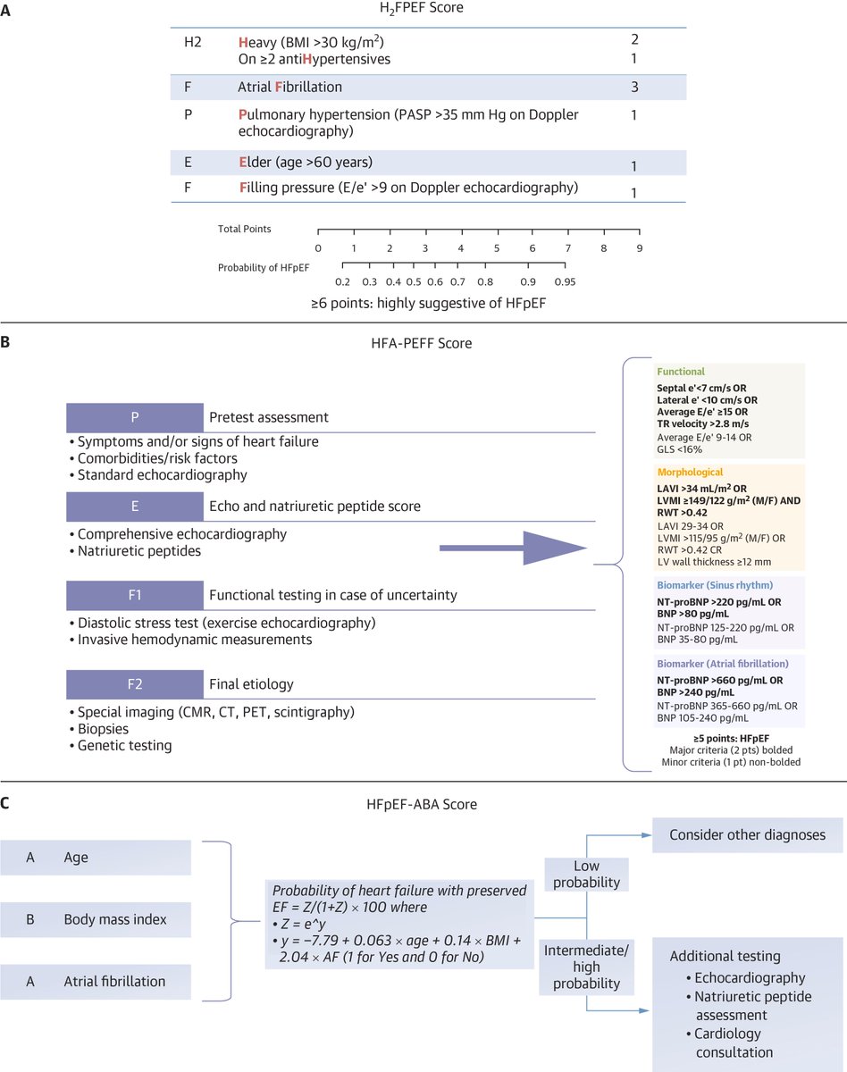 gashawsol's tweet photo. 🔴 Management of Heart Failure With Preserved Ejection Fraction (#HFpEF): 2026 ACC Expert Consensus Decision Pathway
https://t.co/lVAggJwxSm https://t.co/M05VBmdJWF