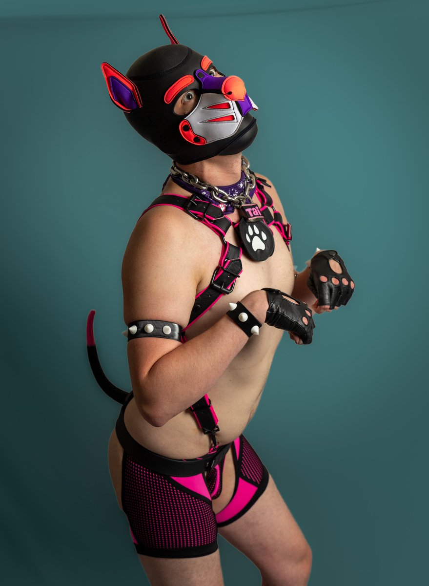 Tai_Koopa's tweet photo. Silly dog
#pup #pupplay https://t.co/q9TcE10iLG