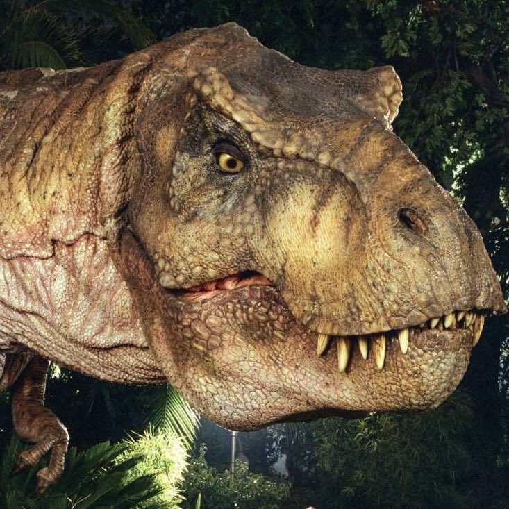 dinoincrisis's tweet photo. happy friendship day to all. except spinosaurus! https://t.co/Bh4wAg67iV