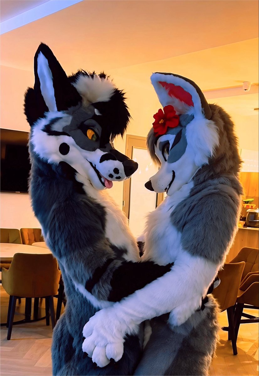 RATT_MUTT's tweet photo. Dominik and Primrose 🐾 https://t.co/bm6ePZTo41