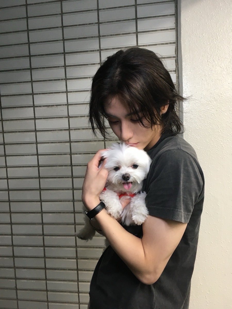 ihannaeyo's tweet photo. thank you koni for giving us leehan biceps all the time https://t.co/yswNo72Pn0