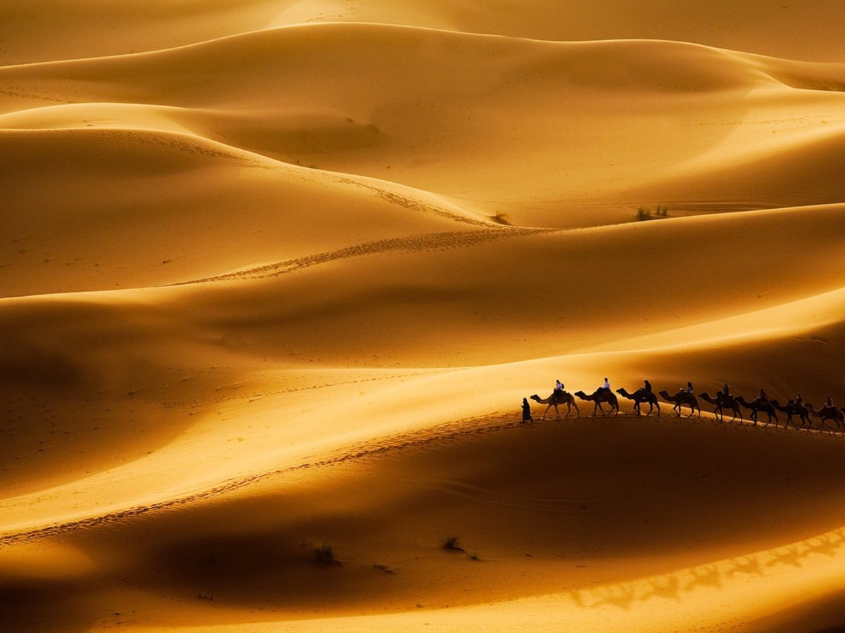poetryproverb's tweet photo. Sunshine all the time creates a desert.

— Arabic Proverb https://t.co/eruMETg0pH
