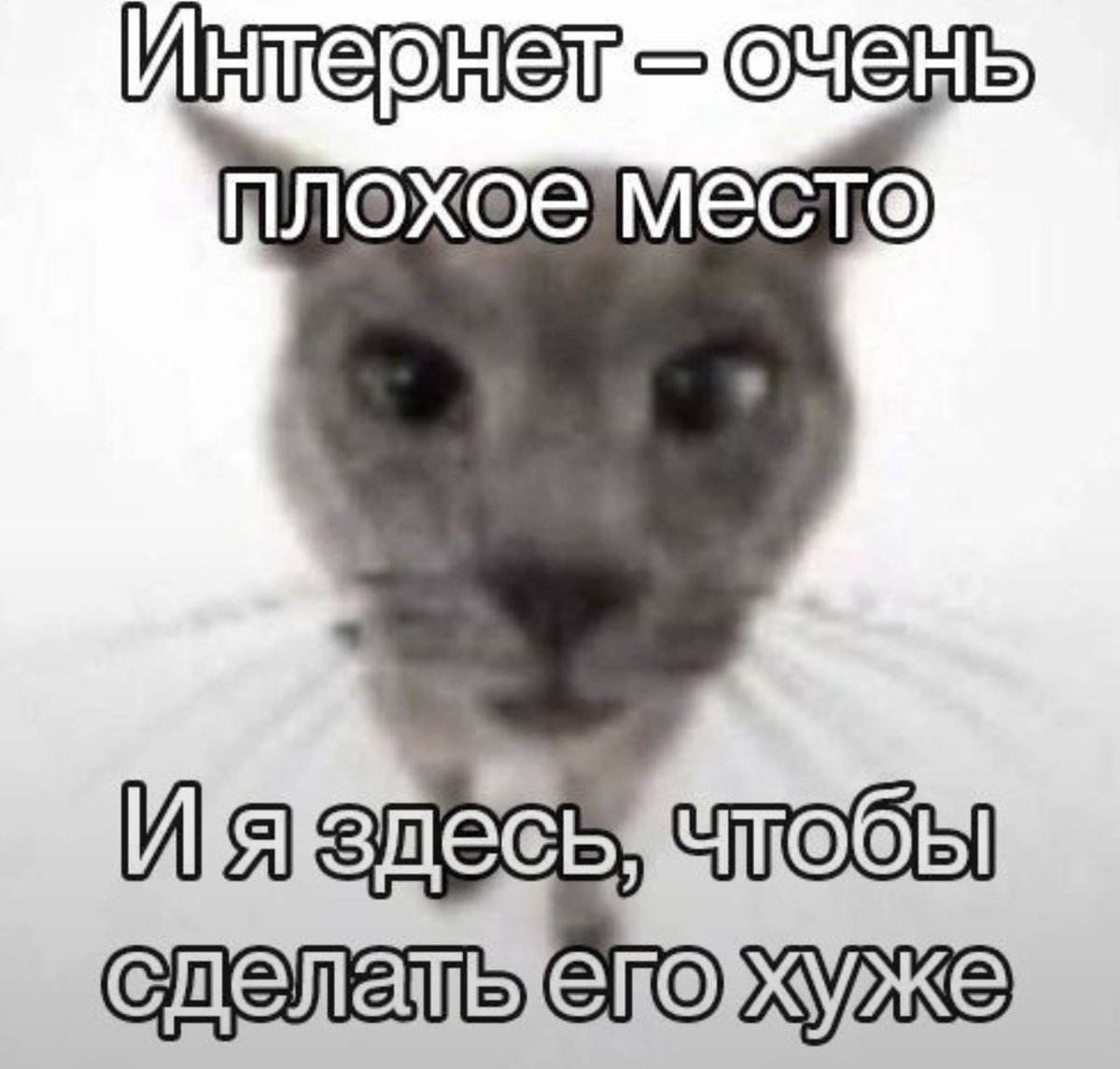 gemi_softy's tweet photo. https://t.co/HXU2lZnMKC