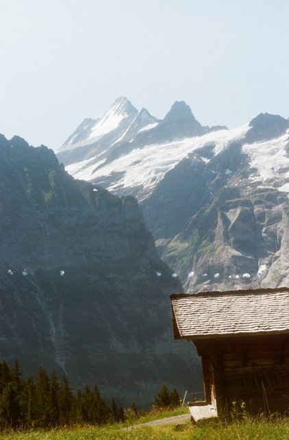 Combination_K's tweet photo. Photos from my recent trip to Switzerland and Netherlands, all shot on Zenit-12XP (with accompanying Helios-44M-4) https://t.co/KHUwX5Vxey