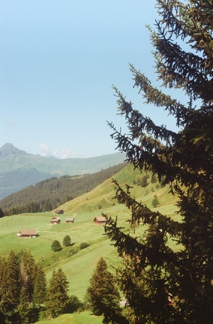 Combination_K's tweet photo. Photos from my recent trip to Switzerland and Netherlands, all shot on Zenit-12XP (with accompanying Helios-44M-4) https://t.co/KHUwX5Vxey