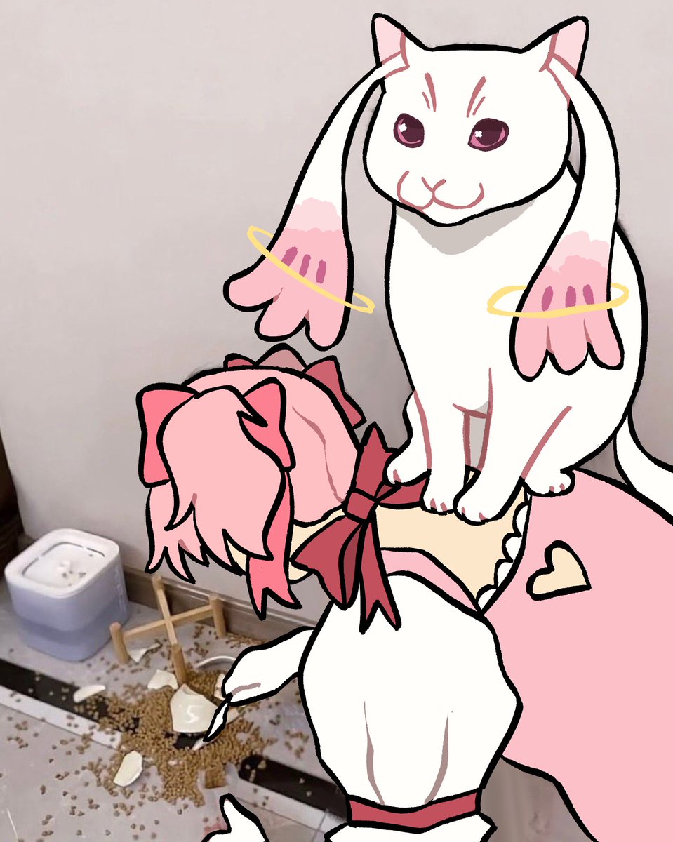 meduka_ebooks's tweet photo. What is this guy’s problem https://t.co/oYv8dU7kv2