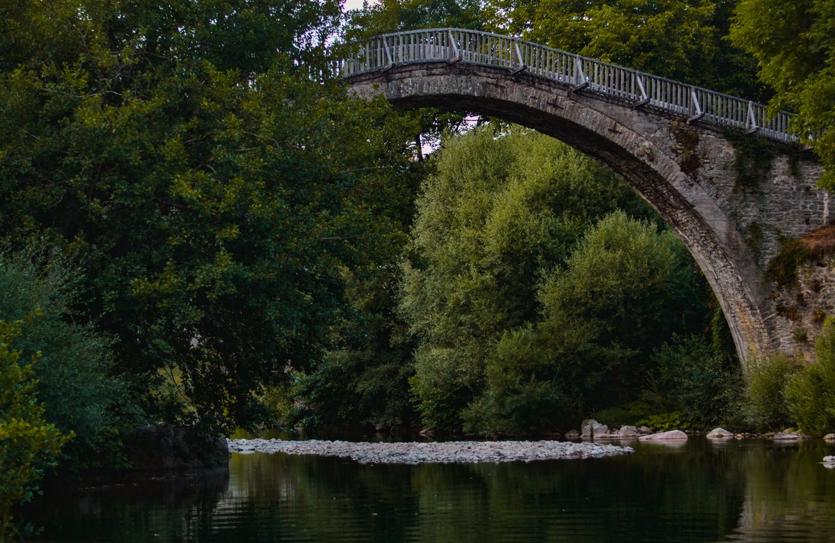 xontrikaiasximi's tweet photo. Shades of green 💚 
#vovousa #aoos #ioannina #epirus #Greece #nikond3100 https://t.co/miQ8nLFT3T