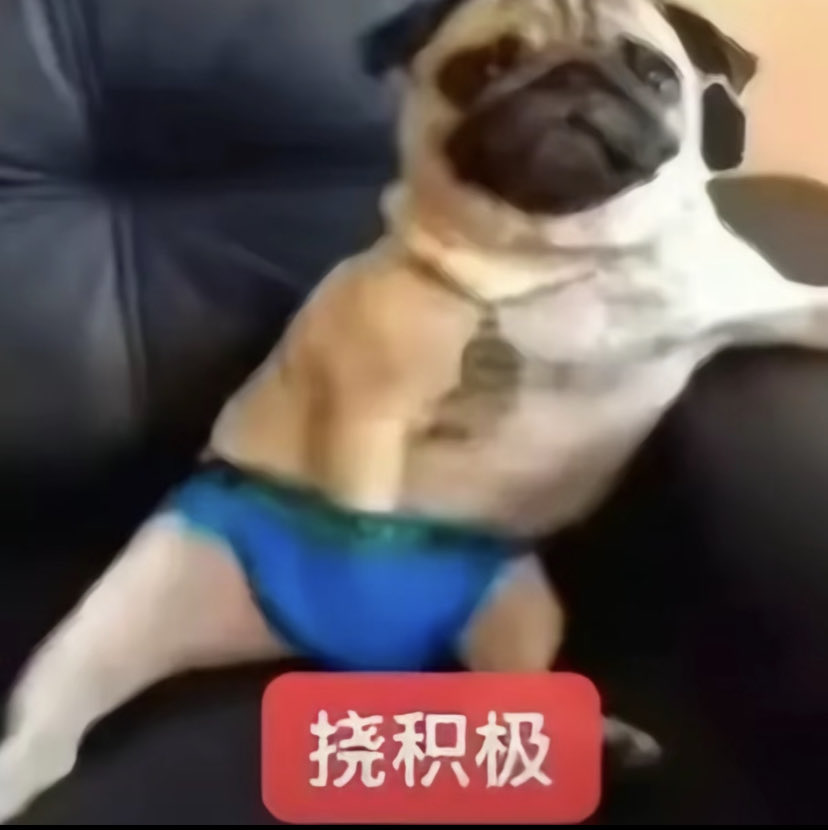 BruceMilefrer's tweet photo. 为什么我开了通知还���收不到任何推送消息 https://t.co/4t4Eobi4gy