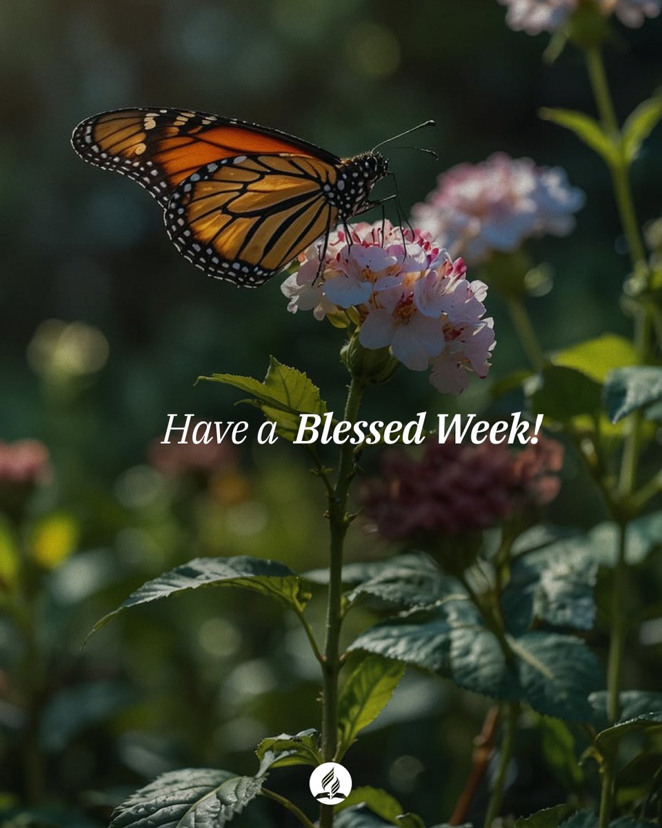 adventistchurch's tweet photo. God assures us of His blessings and guidance throughout the week. The Sabbath is the time to praise and thank Him for everything. https://t.co/c8b7BPg99l
