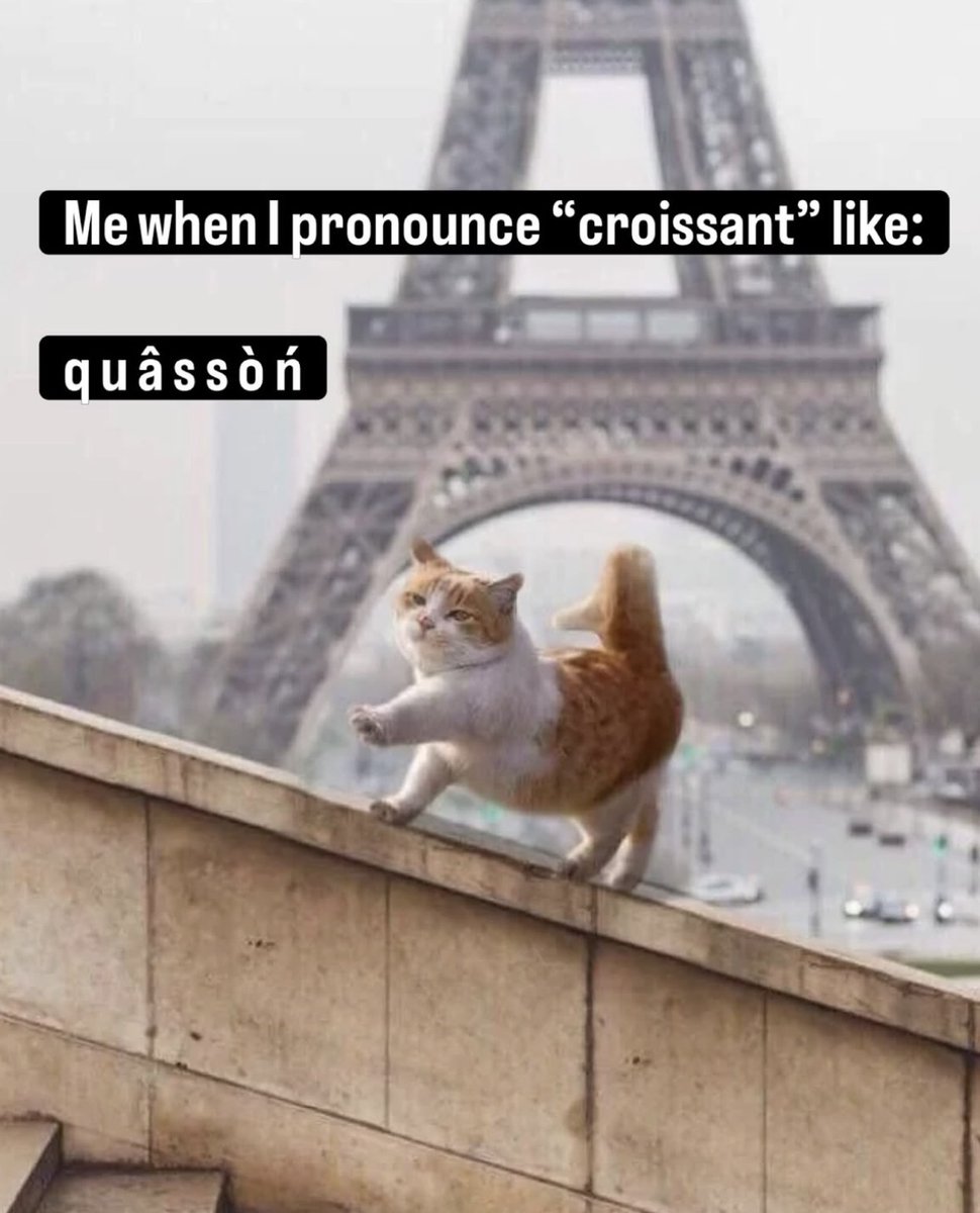 RespectfulMemes's tweet photo. https://t.co/cPrXBZq9tC