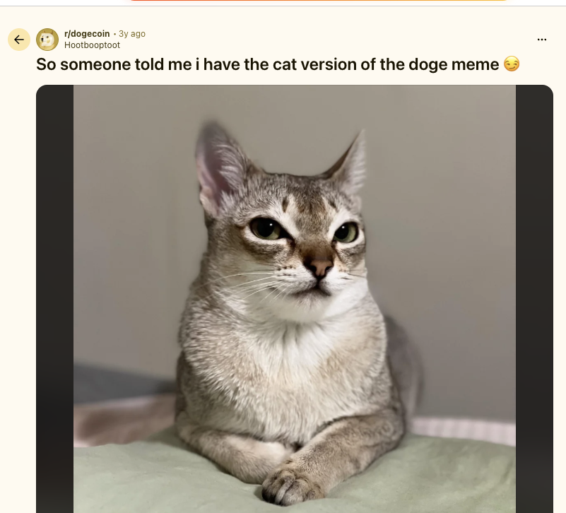 GandiiSol's tweet photo. Found the first Catcoin mentioned in the Doge reddit.

Now Catecoin is banned

We can run the cat version of DOGE

https://t.co/ayYcyAkqiJ https://t.co/CSH1RNh93w