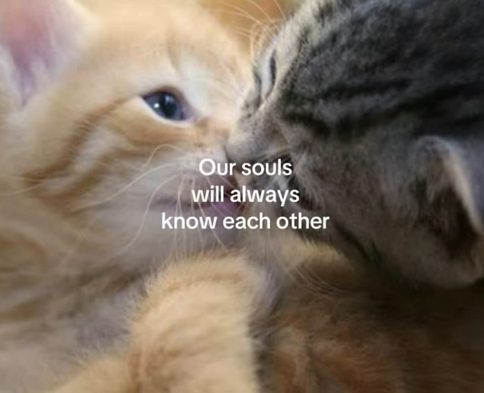 solaceax01's tweet photo. https://t.co/uJbPuKO7ks