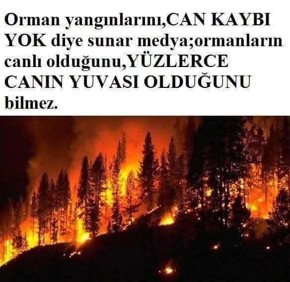 Recepsamuncu1's tweet photo. YORUMLARINIZ,, https://t.co/MJermRSoqD