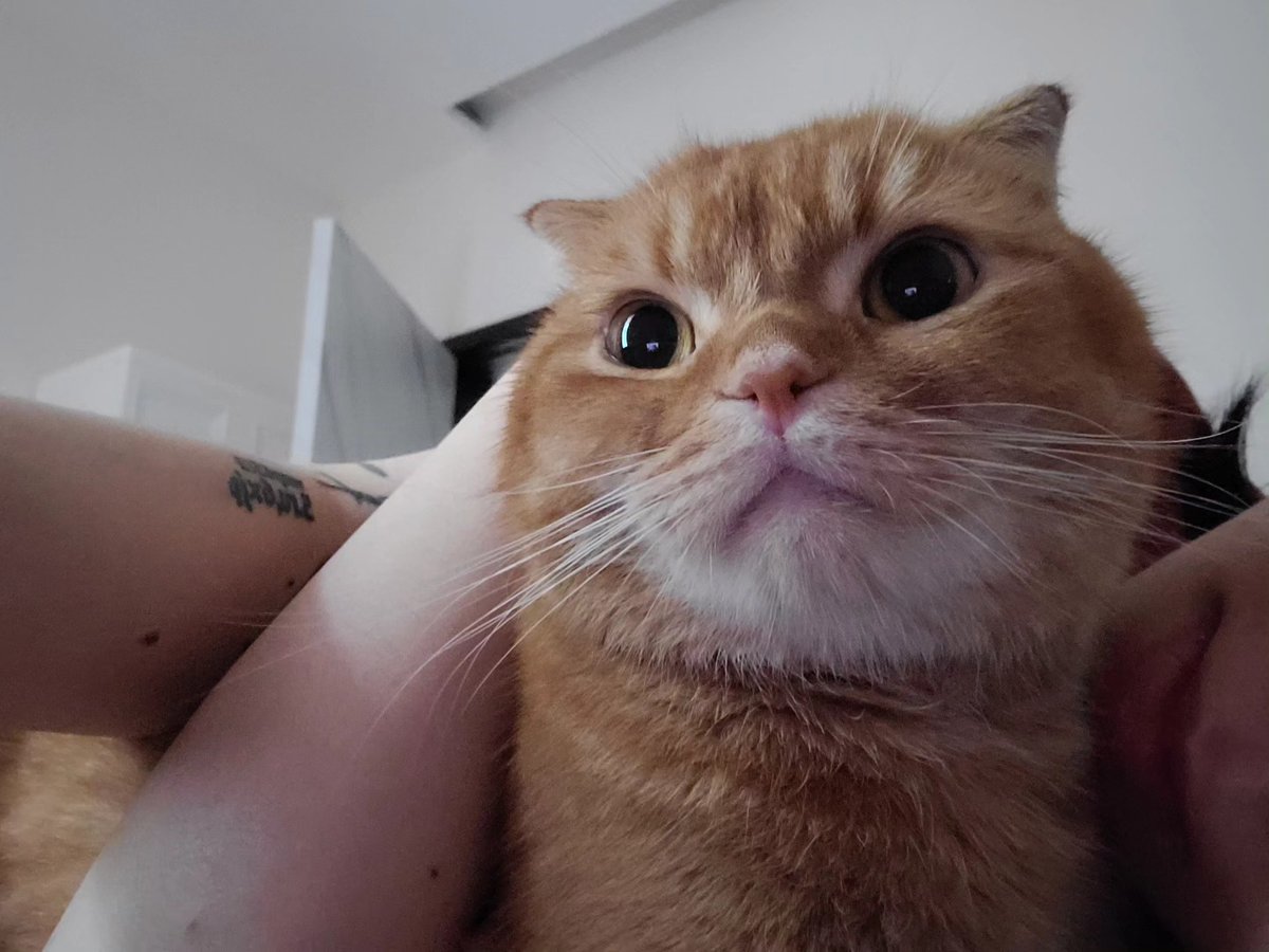 gungunkitty's tweet photo. https://t.co/dl9DCqDUIt