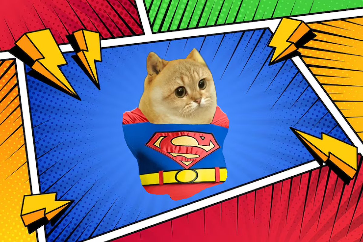 ethereumcate's tweet photo. super cate

many memes

no vamping

mow https://t.co/cyLnTnVB2X